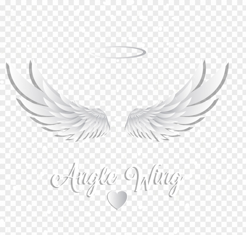 Painted Wings Icon Wing Feather PNG