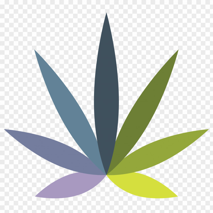 Perennial Plant Hemp Family Cannabis Leaf Background PNG