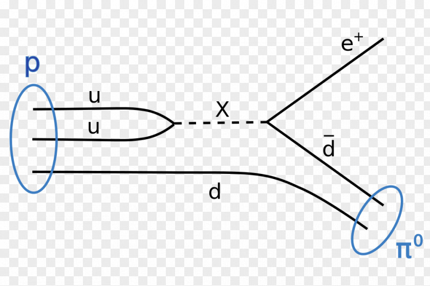 Quantum Chromodynamics Super-Kamiokande Kamioka Observatory Proton Decay Grand Unified Theory PNG