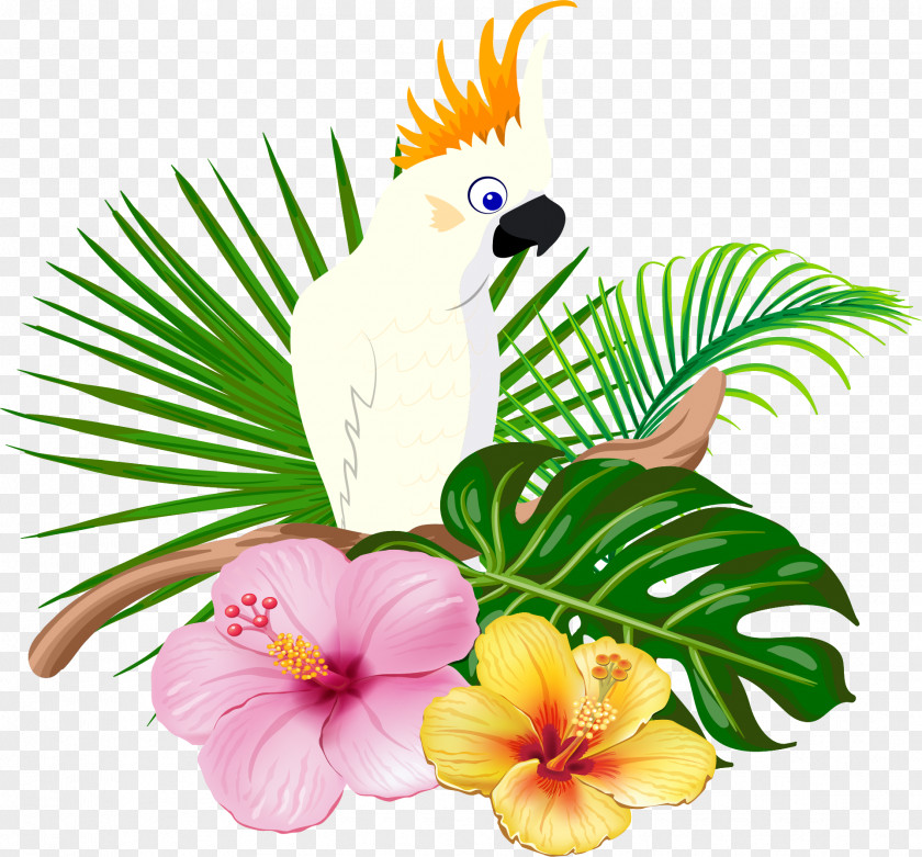 White Parrot Bird Floral Design PNG