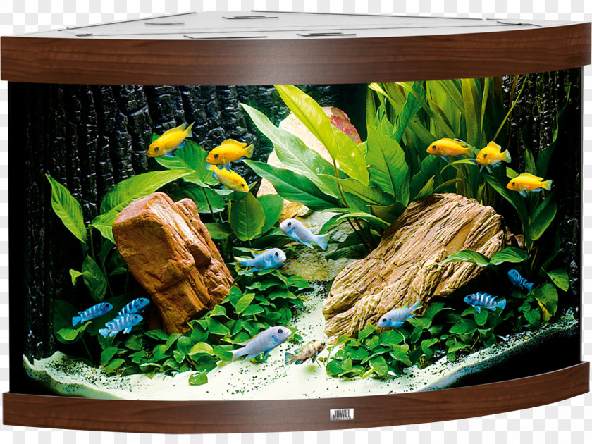 Aquarium Filters Goldfish Juwel Heater PNG
