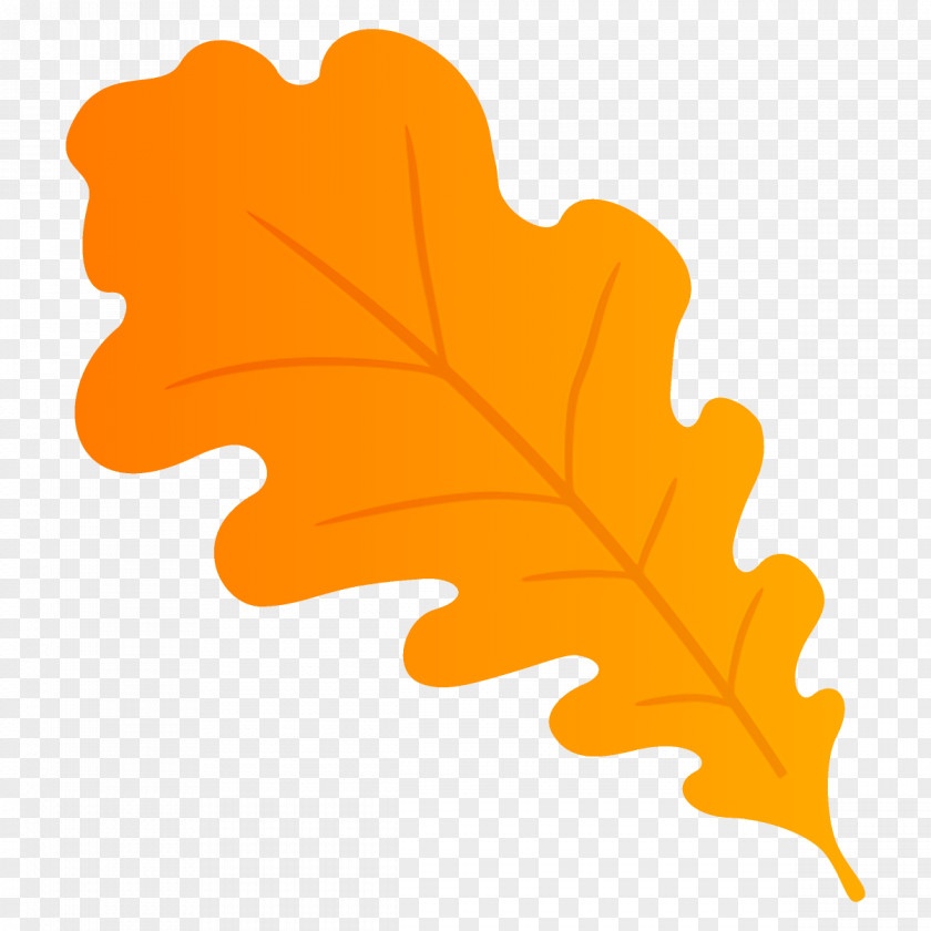 Autumn Plane Oak Leaf Fall PNG