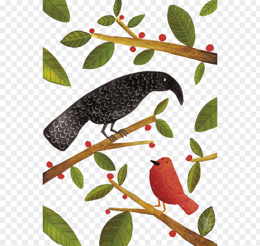 Cartoon Bird Visual Arts Illustrator Illustration PNG