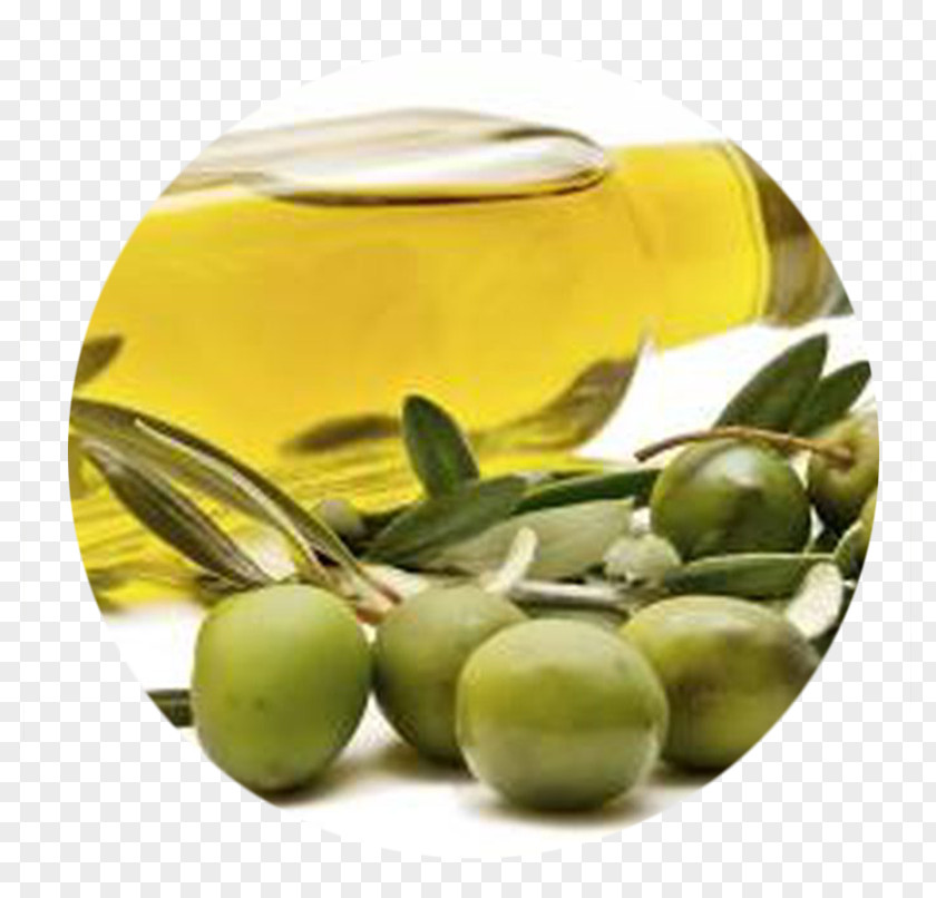 Olive Oil Seed PNG