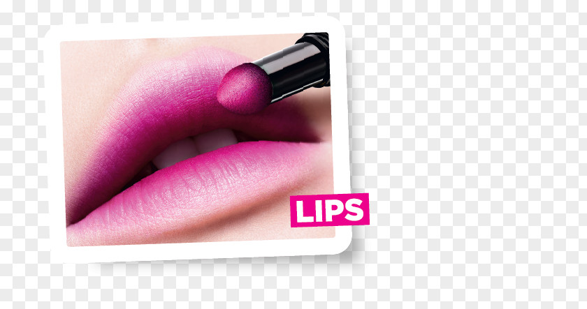 Plum Blossom Lipstick Lip Gloss PNG