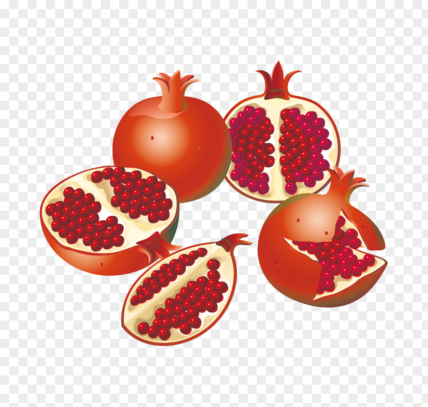 Pomegranate Fruit Clip Art PNG