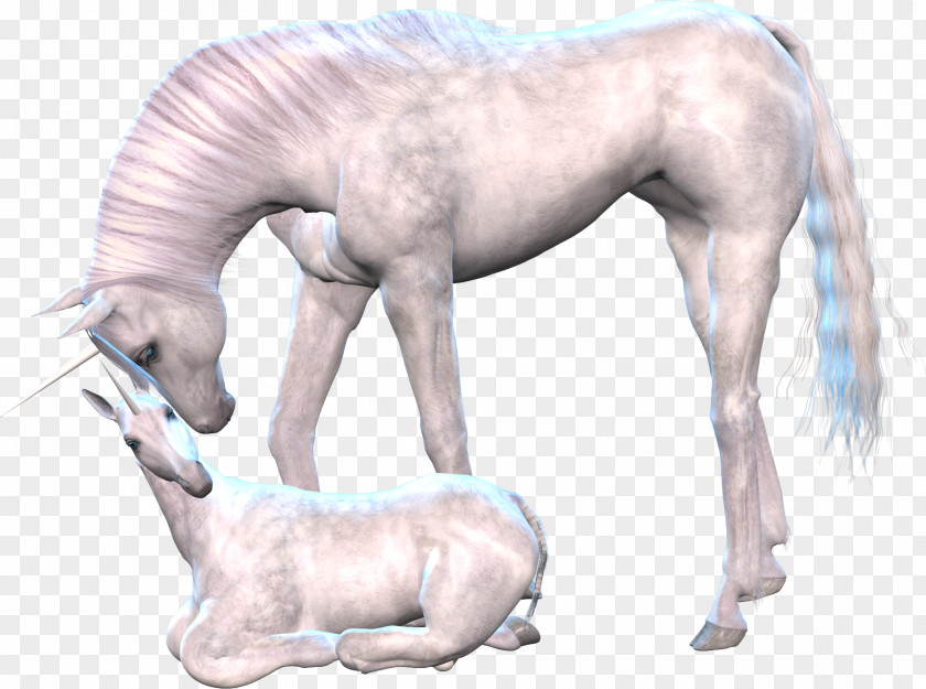 Unicorn Horse Pegasus Clip Art PNG
