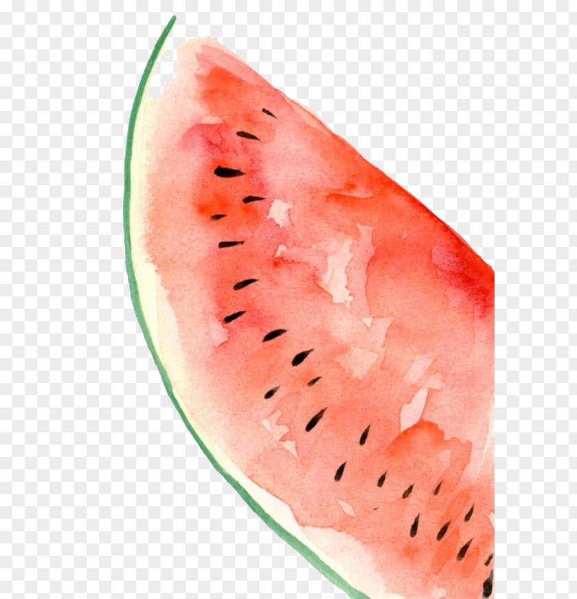 Watercolor Watermelon Painting PNG