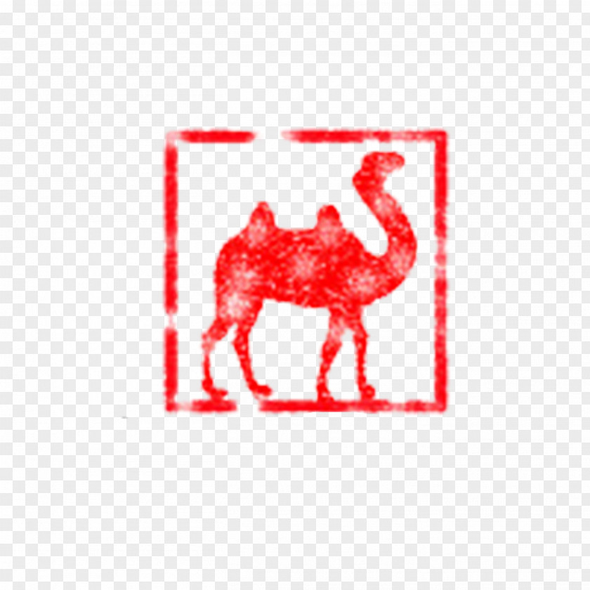 Seal Camel Logo Mammal Pattern PNG