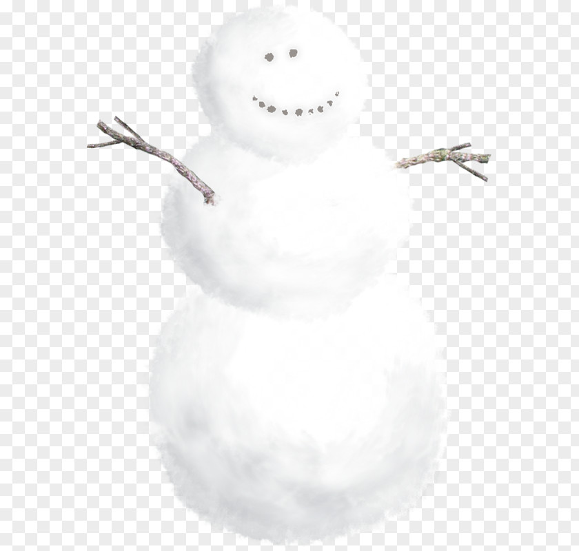 Snowman Sky Plc PNG