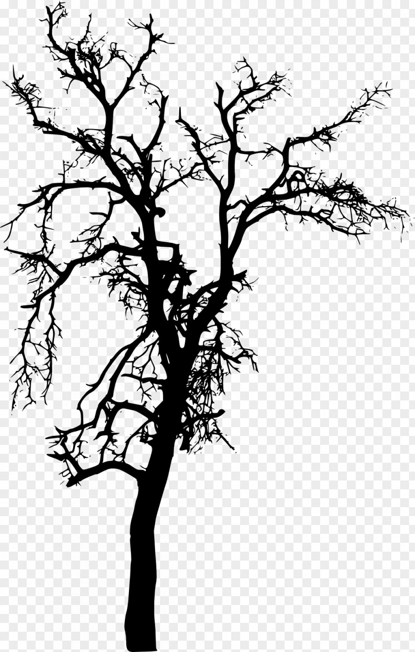 Tree Silhouette Plant Branch PNG