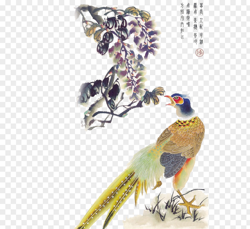 Bird La Pintura China Painting Wallpaper PNG