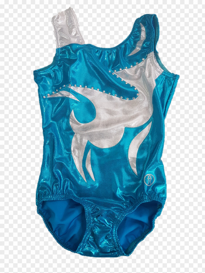 Gymnastics Bodysuits & Unitards Sleeve Blue Sportswear PNG