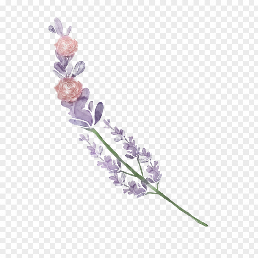 Lavender PNG