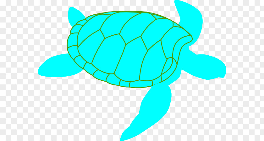 Sea Turtles Cliparts Green Turtle Leatherback Clip Art PNG
