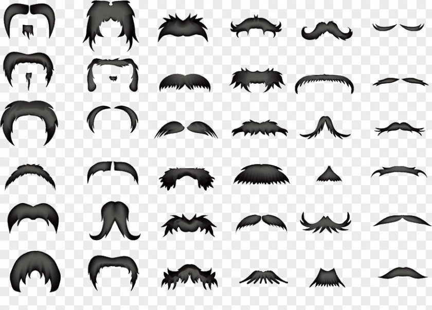 Various Shapes Beard World And Moustache Championships Hairstyle PNG
