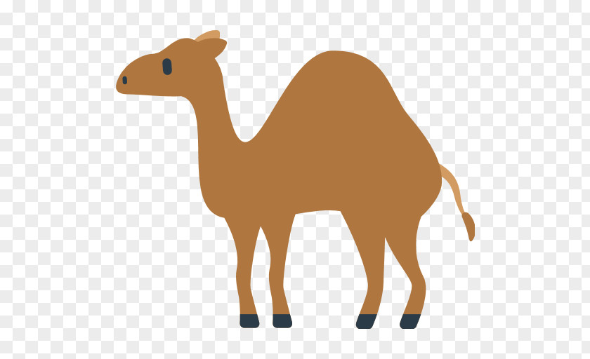Camel Bactrian Dromedary Emoji Emoticon Symbol PNG