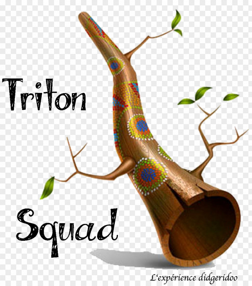 Didgeridoo Triton Squad Gőték Concert Tree PNG