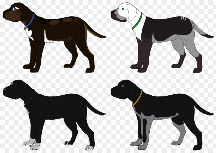 Golden Retriever Dog Breed Great Dane Puppy Sporting Group PNG