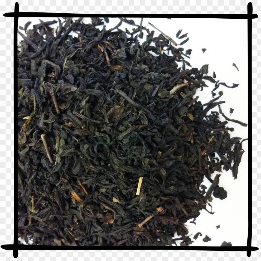 Lapsang Souchong Nilgiri Tea Darjeeling Earl Grey Keemun PNG