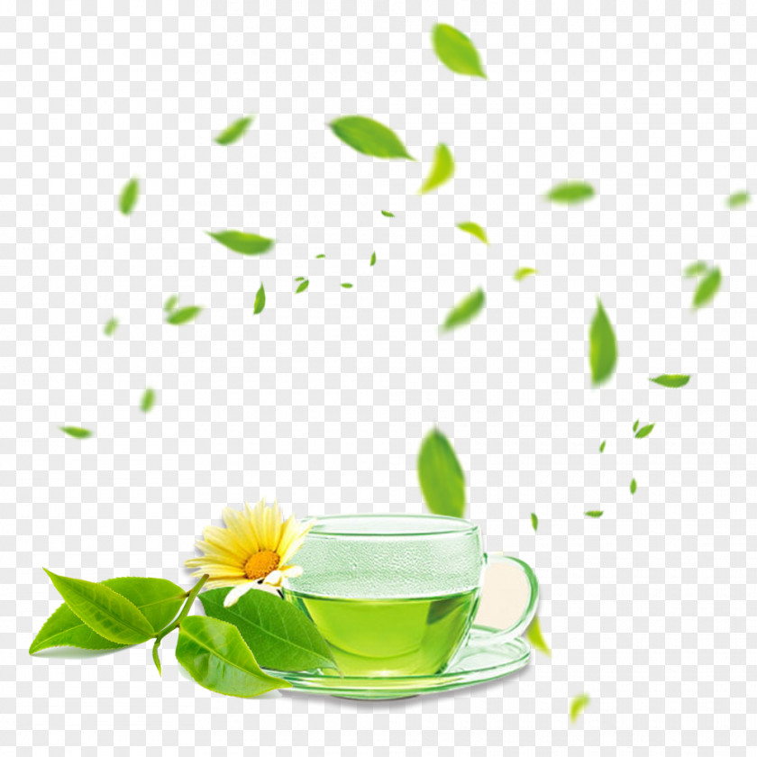 New Tea Market Green Coffee Cup Herbalism Still Life Photography PNG