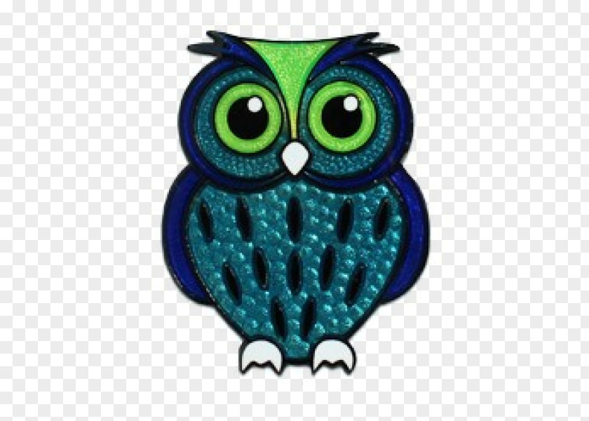 Owl Teal Turquoise Beak PNG