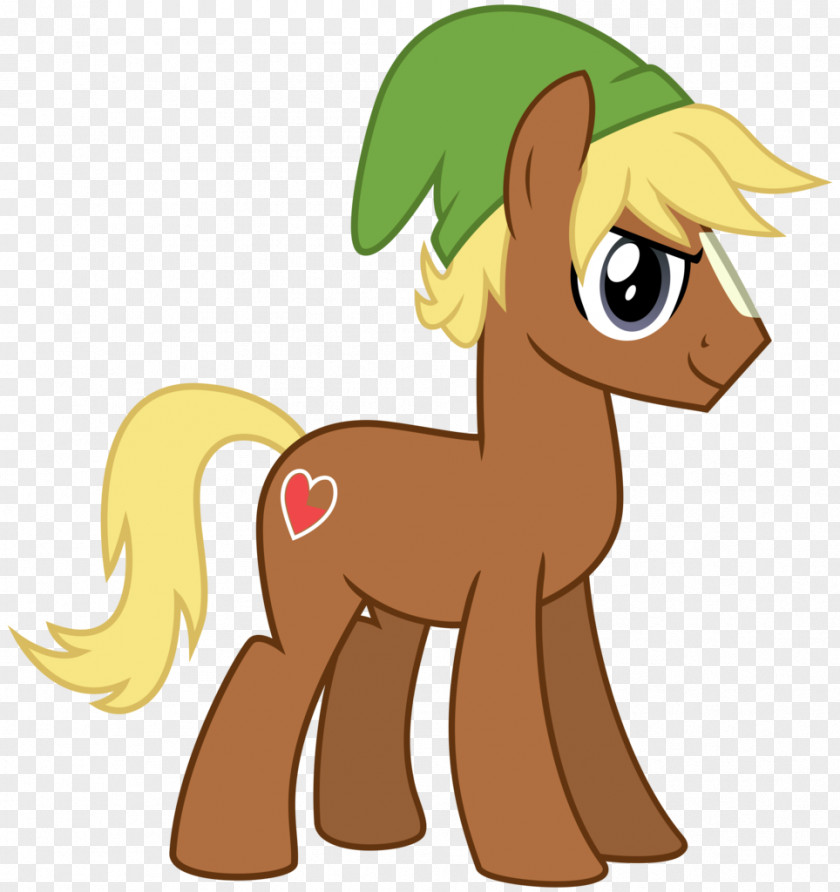Rupee My Little Pony: Friendship Is Magic Fandom Horse Flutter Brutter PNG
