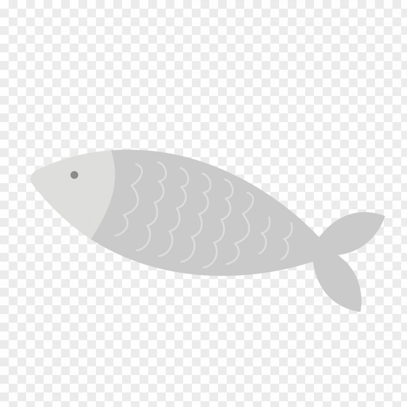 Diet Product Design Fish PNG