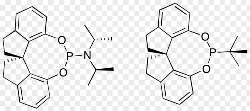 Noyori Asymmetric Hydrogenation Enamine Enantioselective Synthesis Ligand PNG