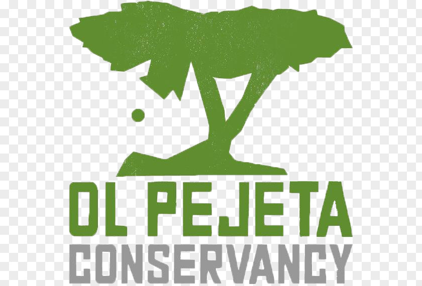Ol Pejeta Conservancy Logo Non-profit Organisation Wildlife Management In Kenya International Anti-Poaching Foundation PNG