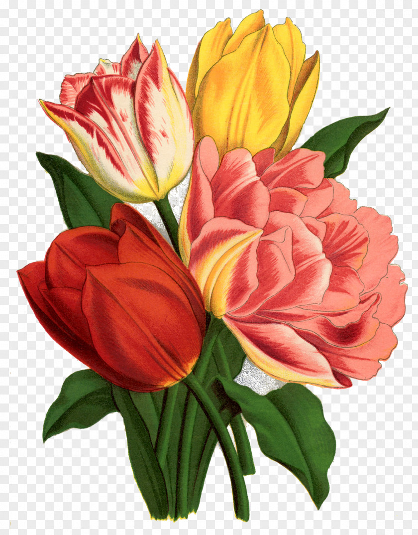 Tulip Tattoo Flower Clip Art PNG