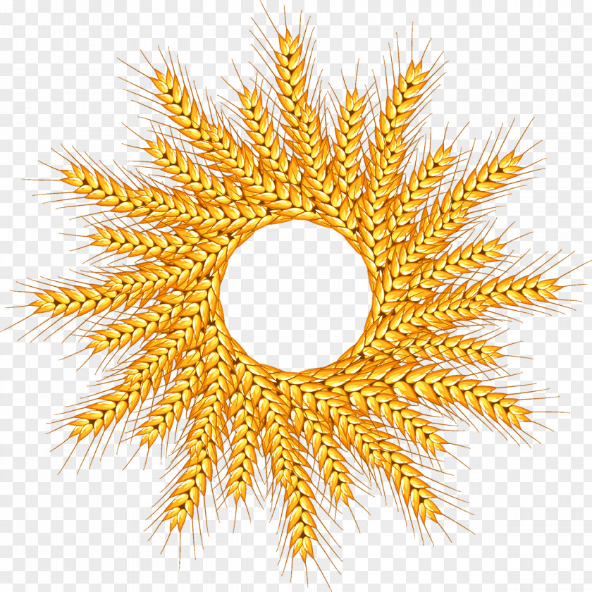 Wheat Logo PNG