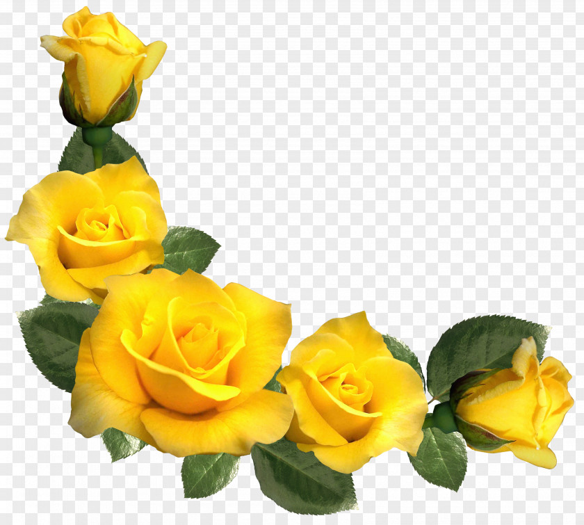 Yellow Rose Clip Art PNG