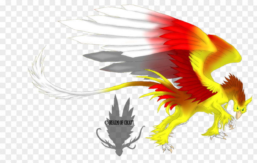 Fiery Dragon Desktop Wallpaper Beak Feather PNG