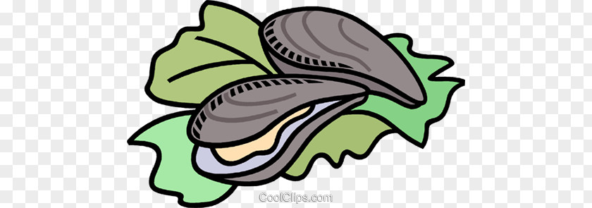 Oyster Clam Drawing Clip Art PNG