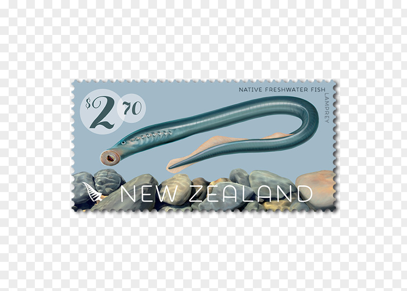 Sea Lamprey New Zealand Post Freshwater Fish Fresh Water PNG