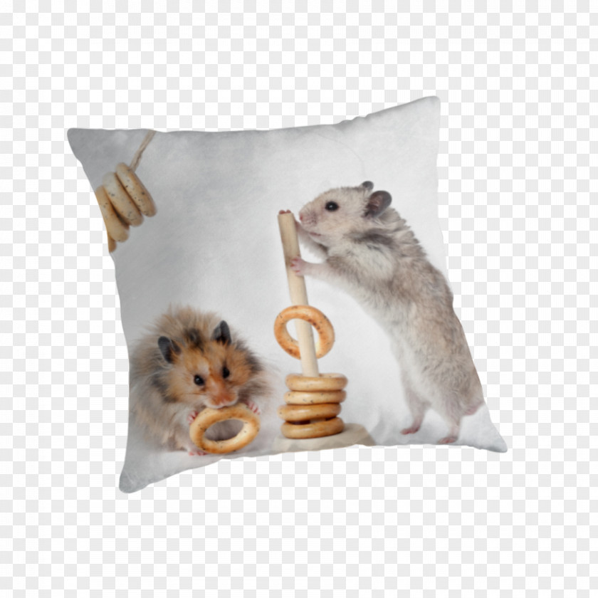 Small Hamster Rodent Rat Throw Pillows Cushion PNG