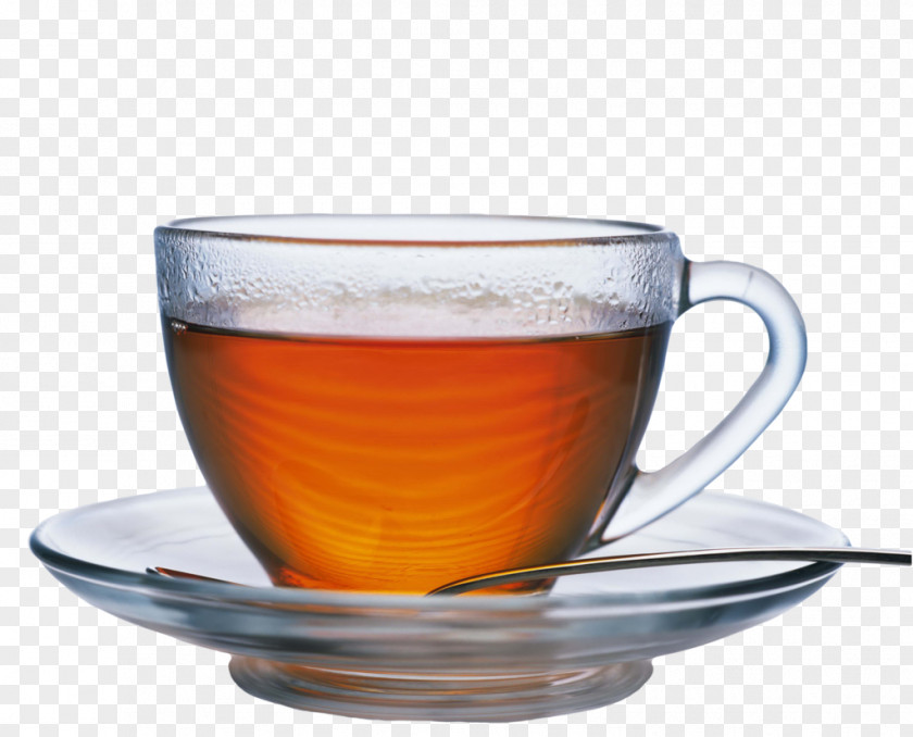 Tea Ginseng White Green Cup PNG