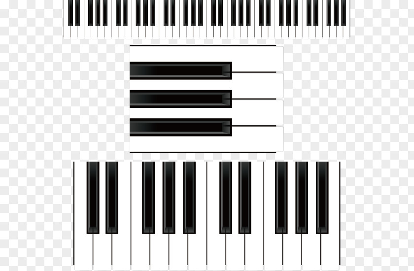 Vector Black And White Keys Musical Keyboard Piano Clip Art PNG