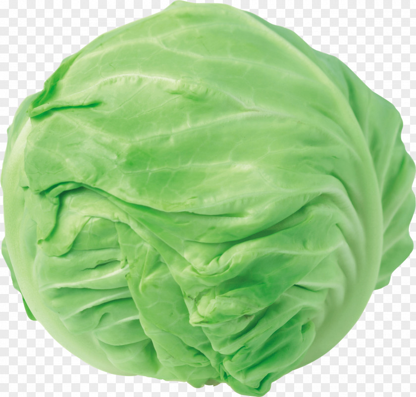 Cabbage Chinese Clip Art Red Napa PNG