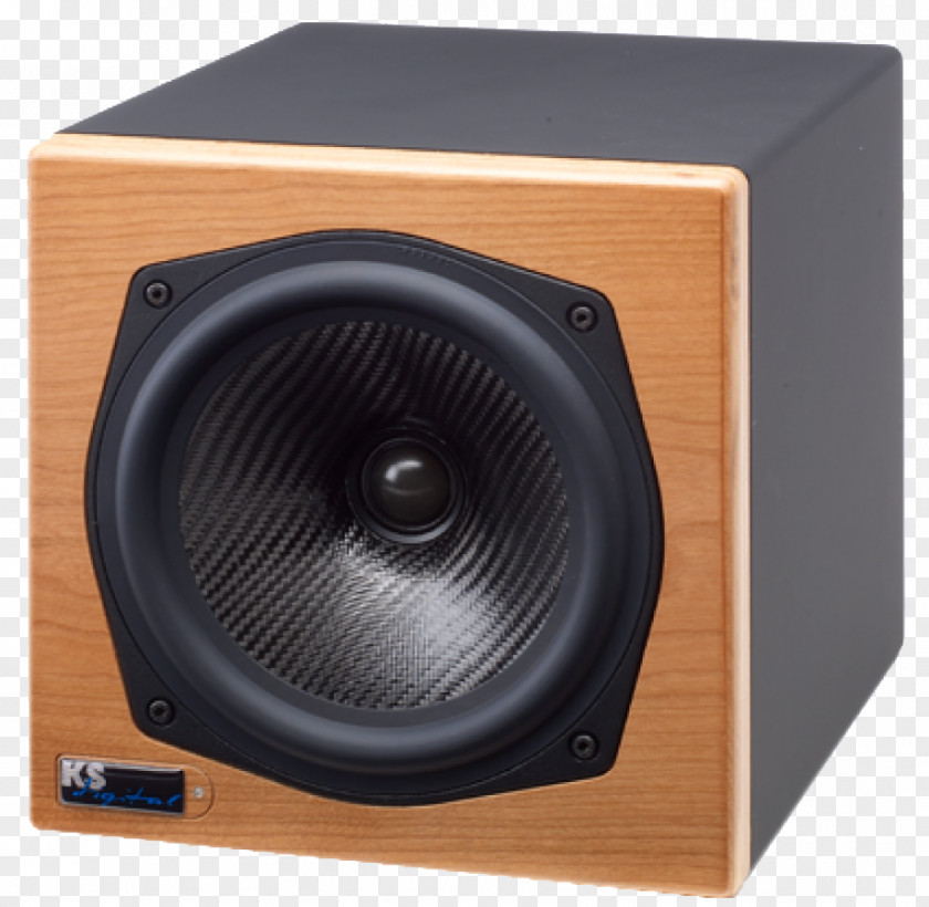 Coaxial Subwoofer Digital Audio Cable Computer Speakers Data PNG