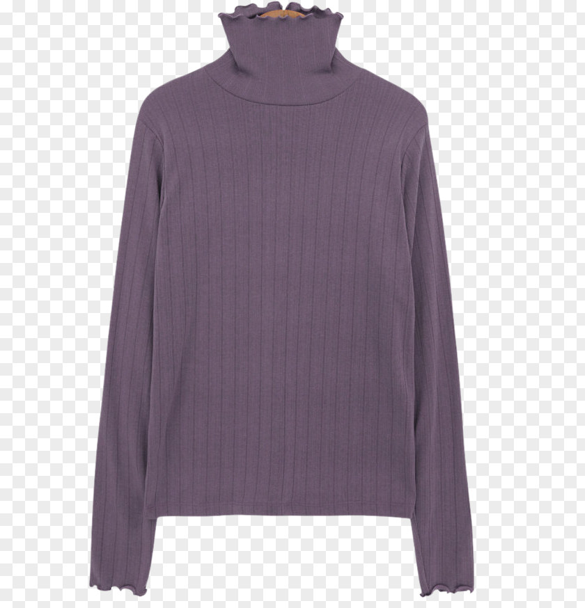 Common Turtle Sleeve Neck PNG