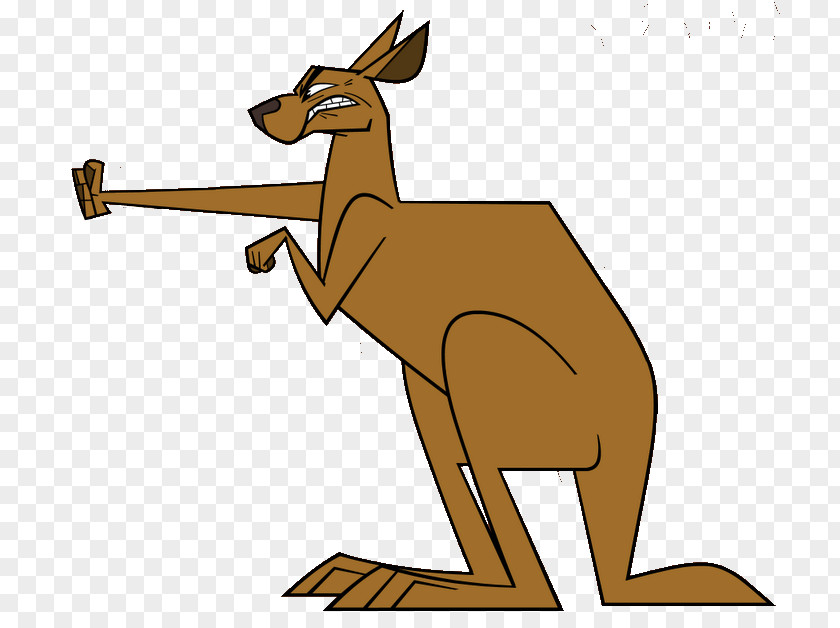 Kangaroo Drawing Clip Art PNG