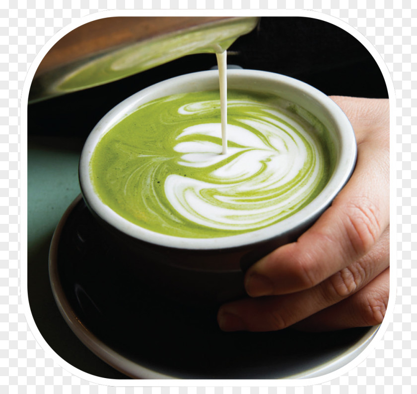 Tea Matcha Green Latte Coffee PNG