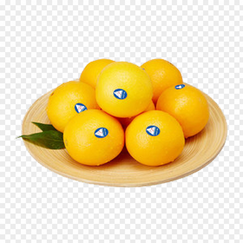 Australia Orange Clementine Tangerine Fruit PNG