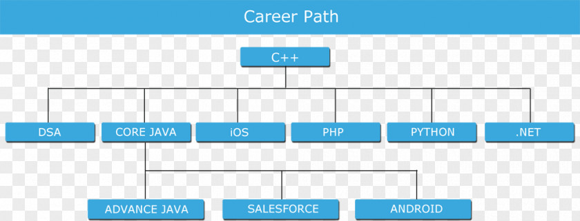 Career Path Java Programmer Programming Language PHP PNG