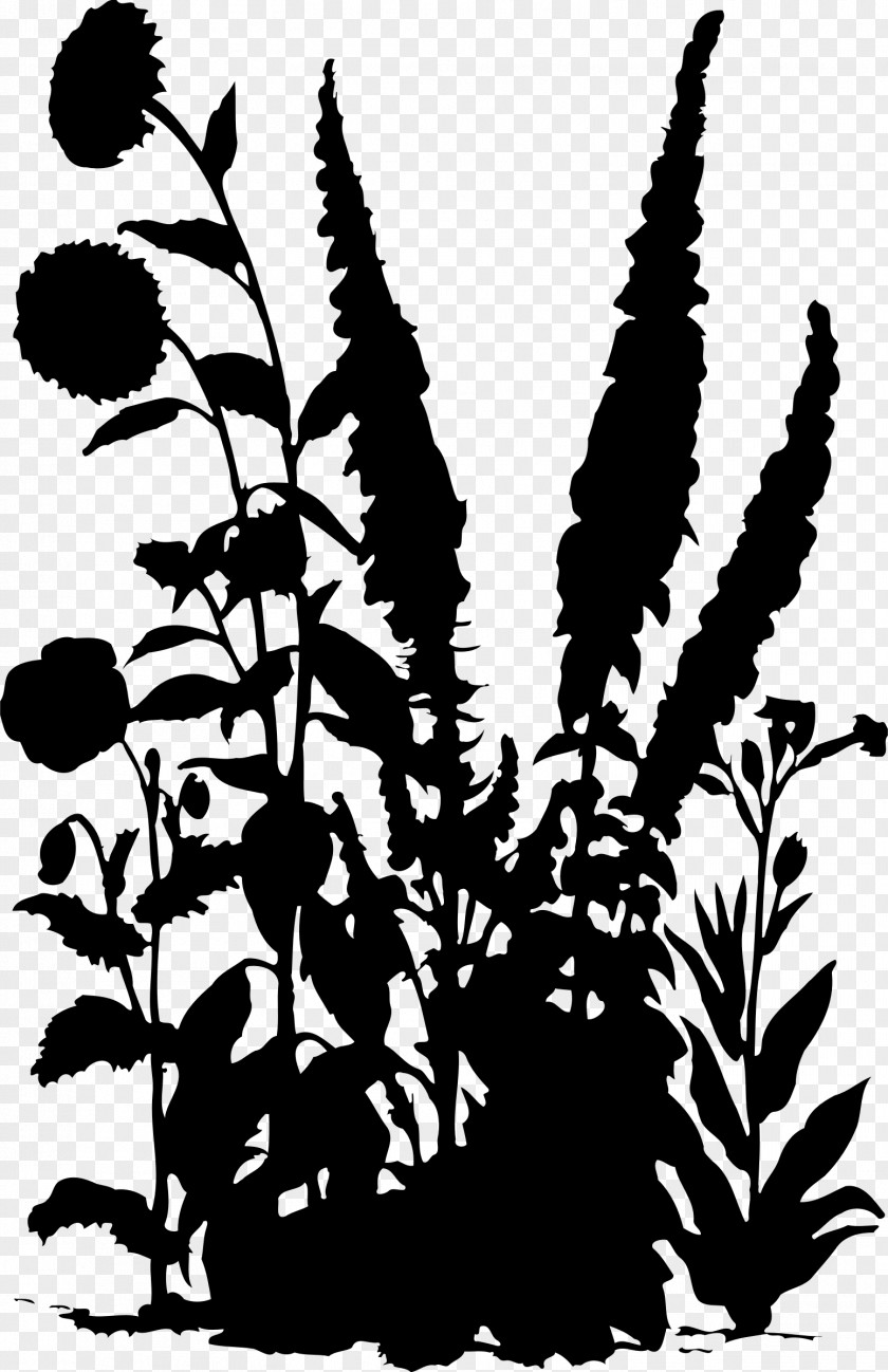 Flower Drawing Silhouette Clip Art PNG