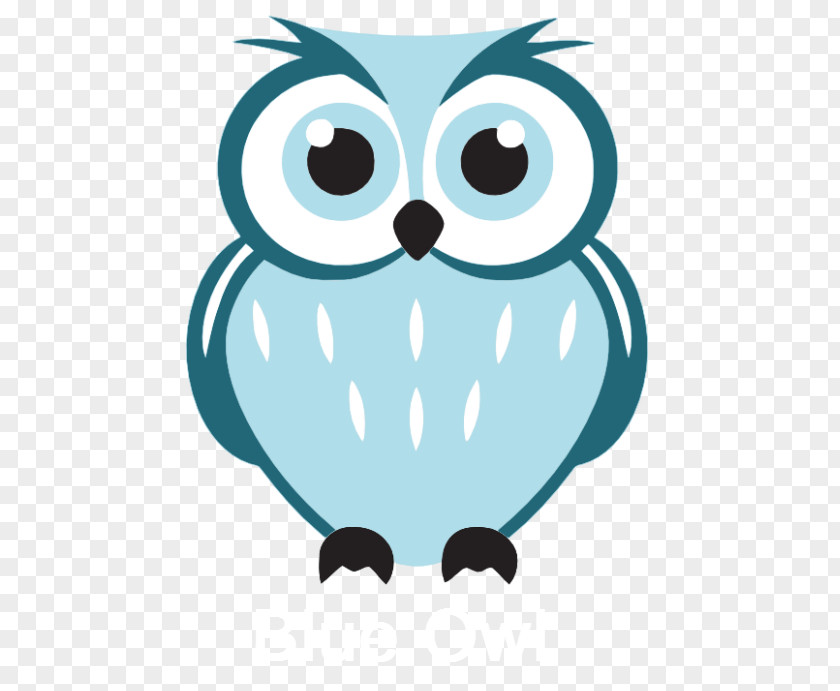 Owl Bird Drawing Clip Art PNG