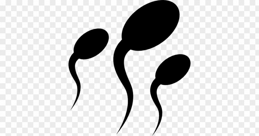 Spermatozoon Semen Clip Art PNG