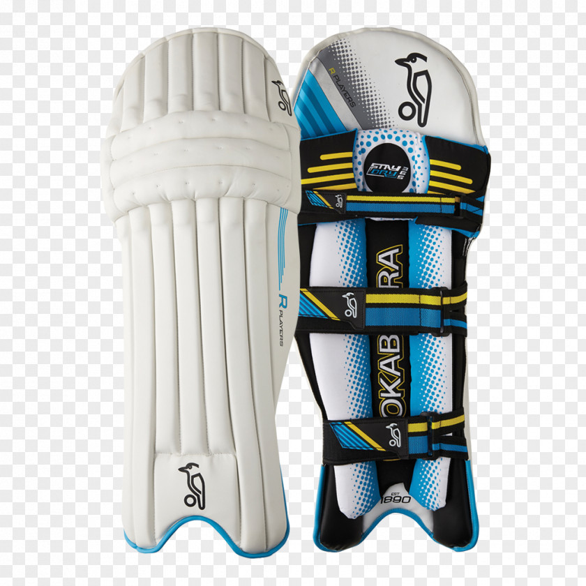 Cricket Player Shin Guard Bats Baseball PNG